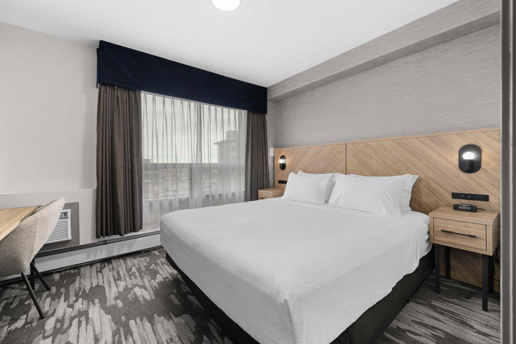 Standard Suite, 1 King Bed, Sofa Bed, Kitchenette,1627932487:JPEG